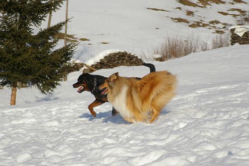 Fotos f. Homepage Galerie 046